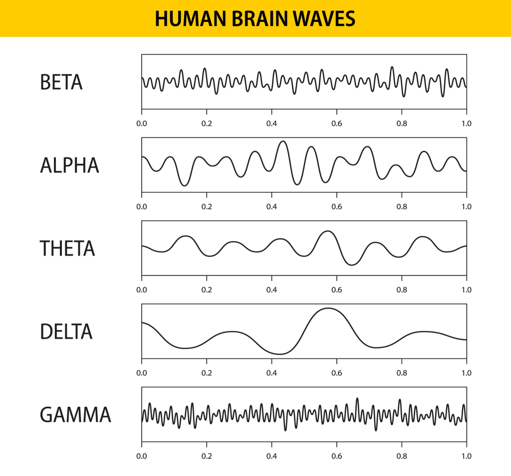 Chart displaying brainwave frequencies - Beta (13-30Hz) for alertness, Alpha (8-13Hz) for relaxation, Theta (4-8Hz) for meditation, Delta (0.5-4Hz) for deep sleep
