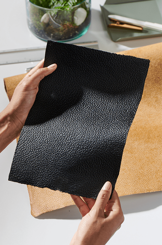 “Hands holding black mycelium leather swatch over tan material sample on a desk, showing textured vegan leather alternative for sustainable design.”