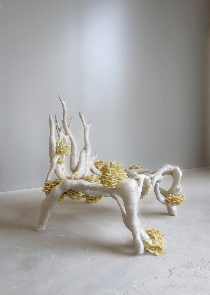 Biofabricated mycelium chair made from fungal composite materials, showcasing sustainable circular design innovation.